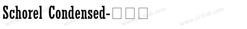 Schorel Condensed字体转换